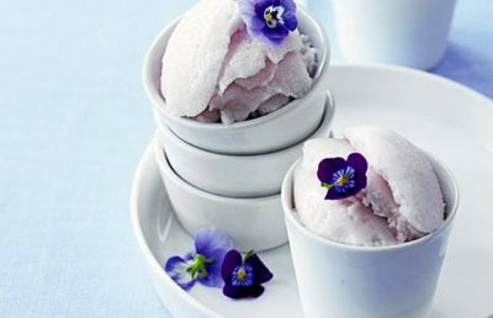 Serbet din floare de toporasi