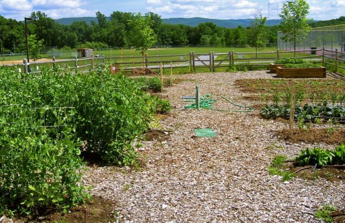 Cum sa produci ingrasaminte organice?