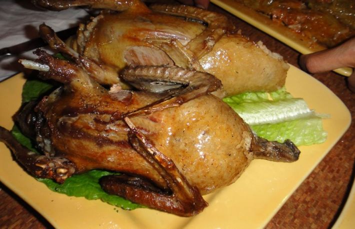 Afla cum se umplu porumbeii