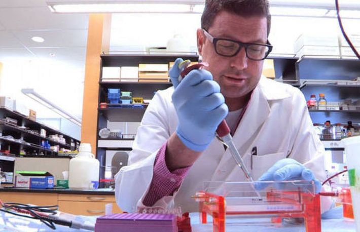 Care sunt simptomele leucemiei?