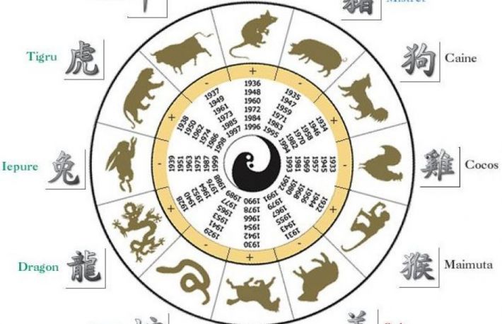 Zodiac chinezesc: Ce animal esti si care sunt trasaturile tale de personalitate