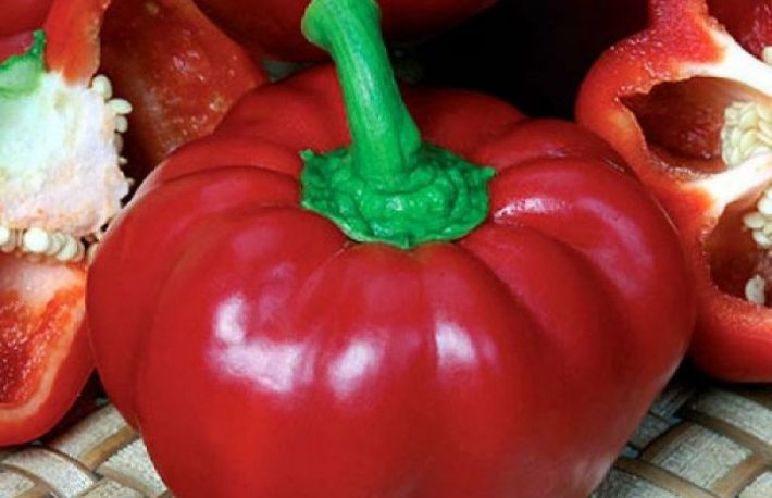 Cum se cultiva gogosarii in casa