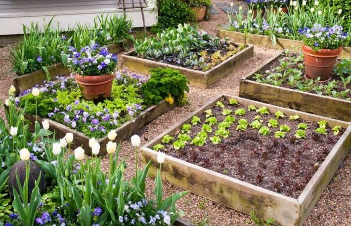 Cum se aplica un strat vegetal protector