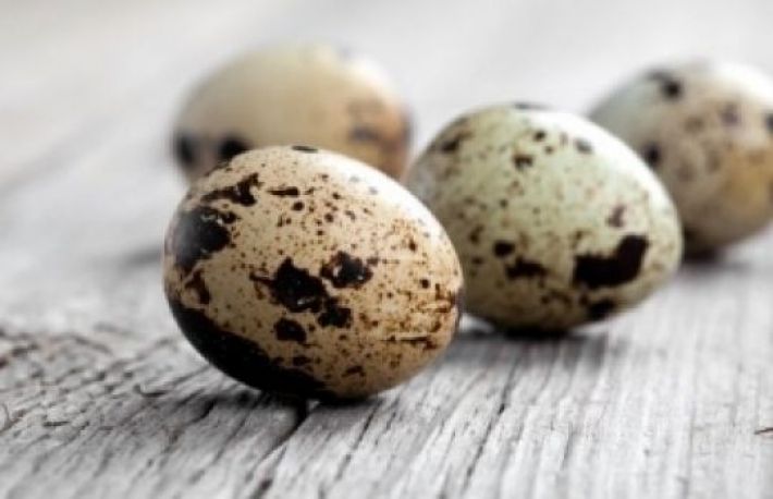 Cum sa tratezi o multime de BOLI cu OUA de PREPELITA