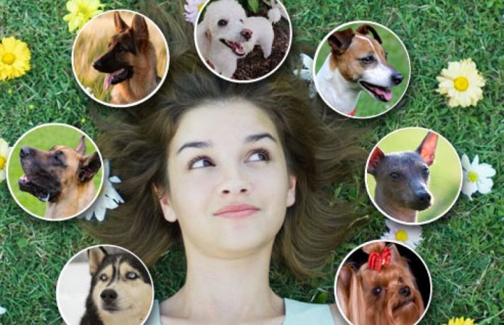 Afla cum sa alegi intre un caine adult si un catelus