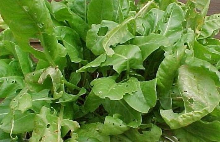 Cum te ajuta macrisul. Beneficii nebanuite!