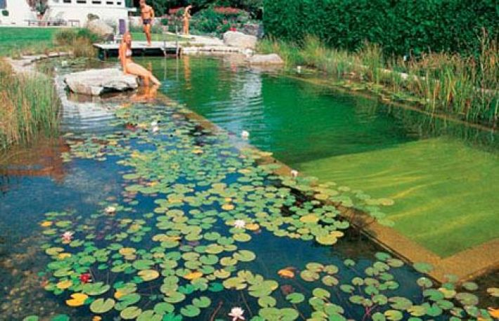 Cum sa construiesti o PISCINA NATURALA