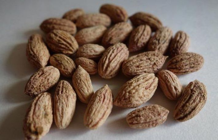 Cum si de ce sa consumi samburi de masline