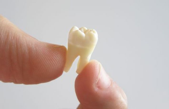 Tot ce trebuie sa stii despre maseaua de minte. O sa ai cateva surprize