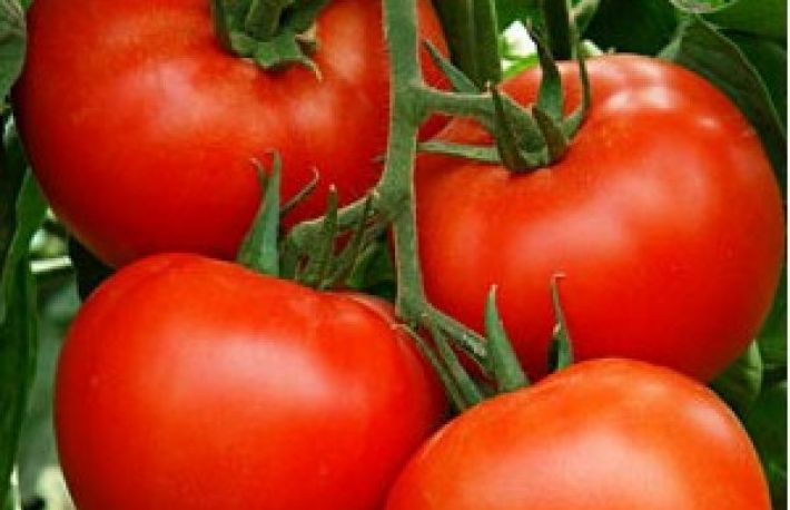 Creste rosii sanatoase si gustoase! Foloseste aceste ingrasaminte naturale