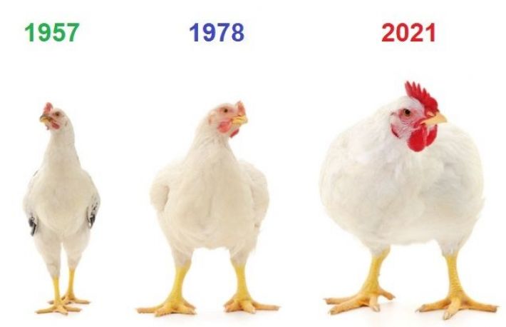 Lucruri familiare care s-au schimbat radical cu trecerea anilor