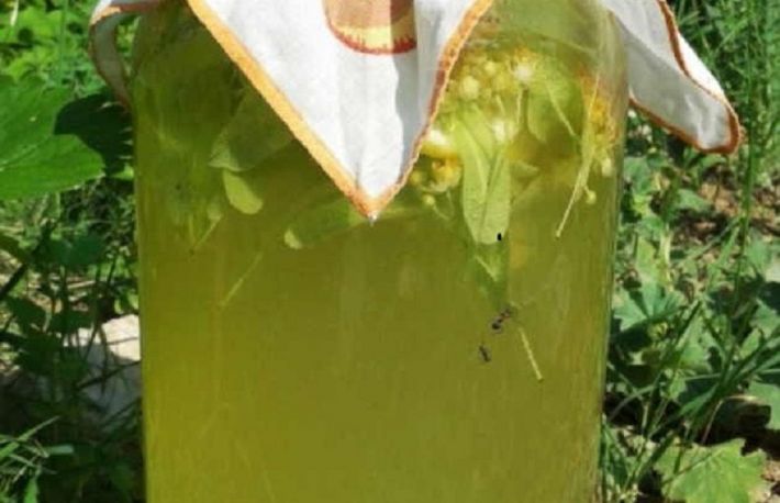 Cum sa faci limonada de tei