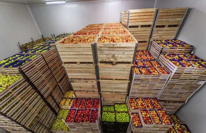 Cum sa depozitezi corect fructele si legumele