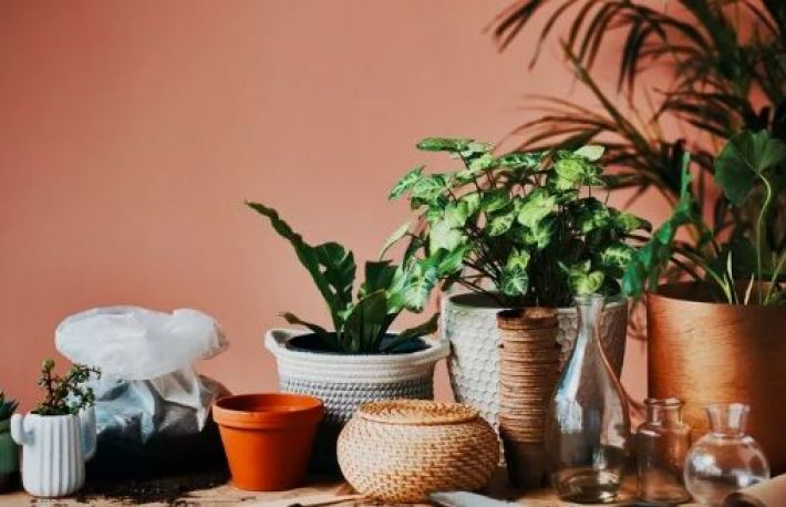 Cum sa alegi jardiniera