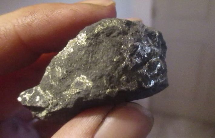 Cum sa testezi autenticitatea platinei