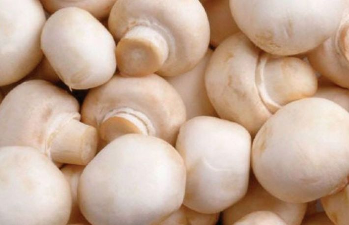 Cum pastrezi ciupercile proaspete?