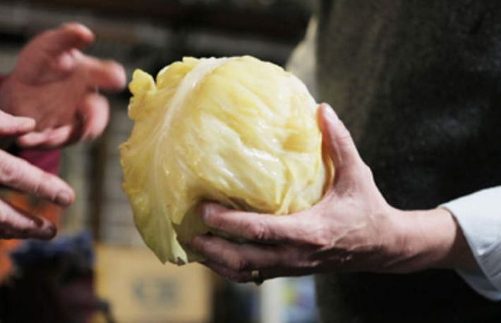 Varza acra murata in butoi