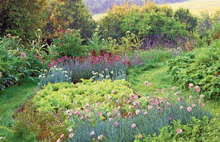 Alegerea solului potrivit pentru plante in 3 pasi