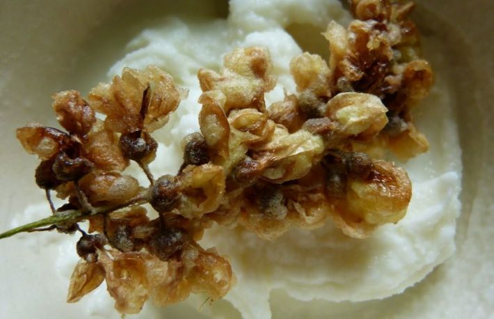 Serbet din floare de salcam