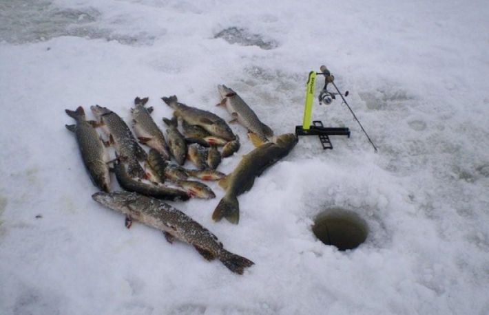 Cum se face o undita pentru pescuitul la copca?