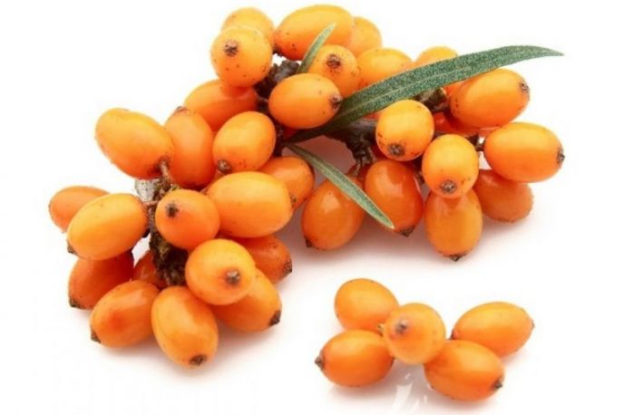 Ceai din fructe de catina