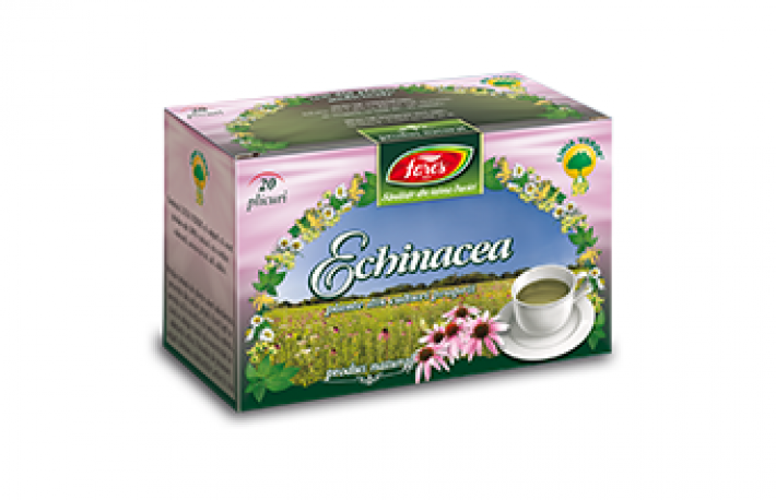 Proprietatile ceaiului de echinaceea