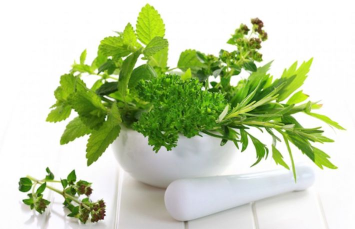 Afla ce ierburi italiene imbunatatesc gustul preparatelor culinare