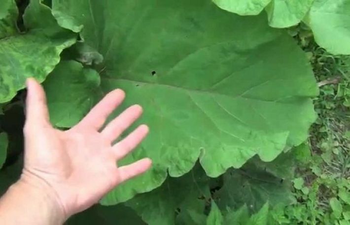 Cum sa scapi de reumatism. Metoda mai simpla nu exista