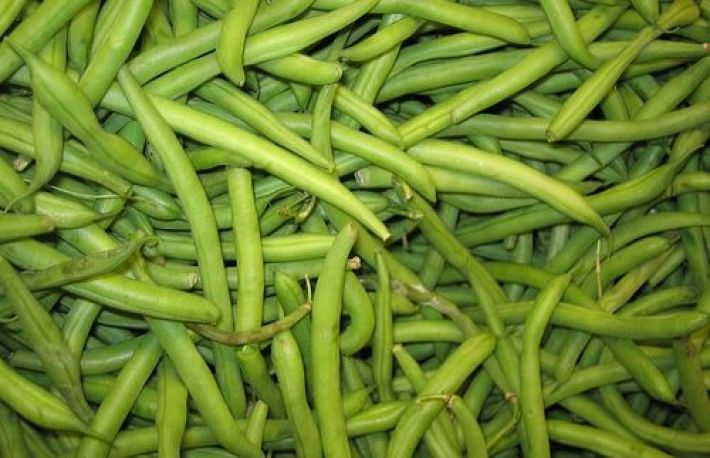 Cum sa congelezi FASOLEA VERDE