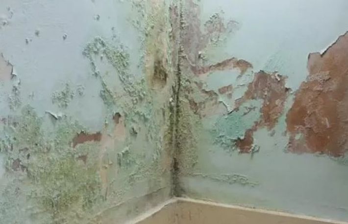 Igrasia e nesanatoasa. Ce afectiuni poate declansa