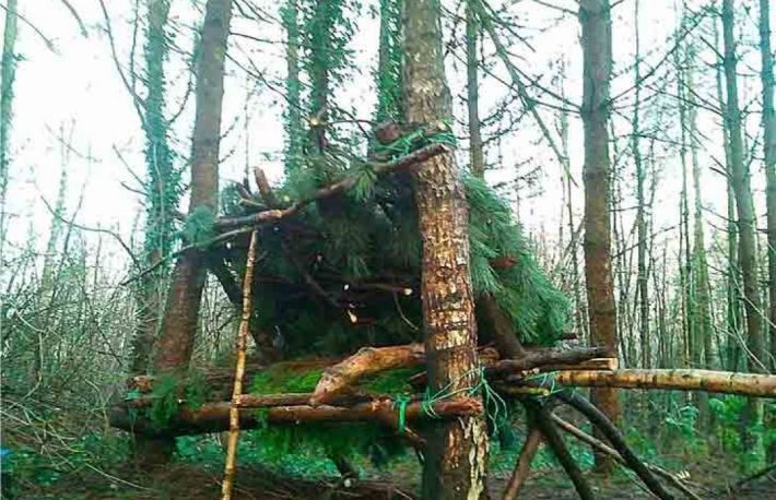 Cum sa construiti un adapost in salbaticie?