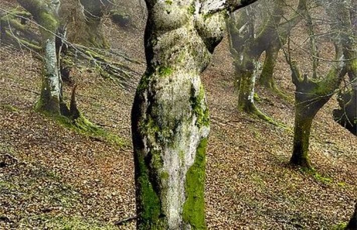 Iluziile astea optice te vor uimi. Galerie foto