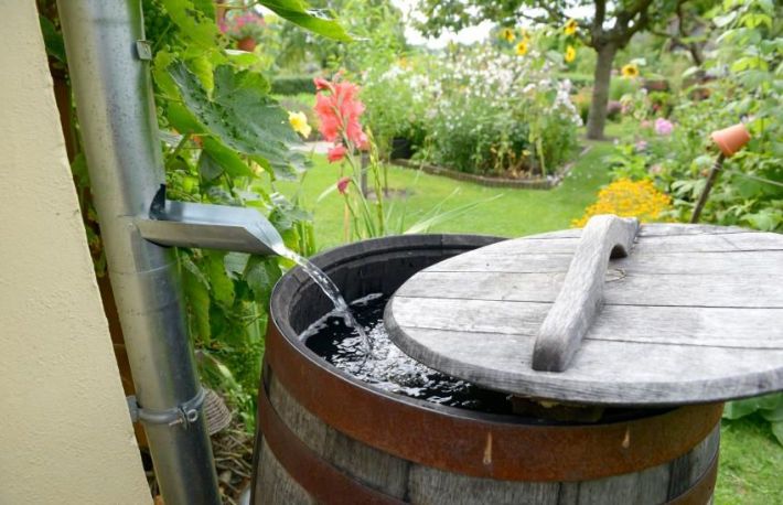 Cum sa folosesti apa de ploaie in gradina