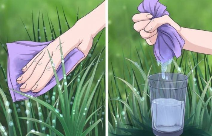 Trucuri pentru a iesi din cele mai dificile situatii