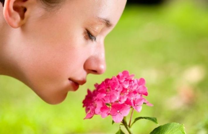 Care este legatura fascinanta dintre miros si amintiri