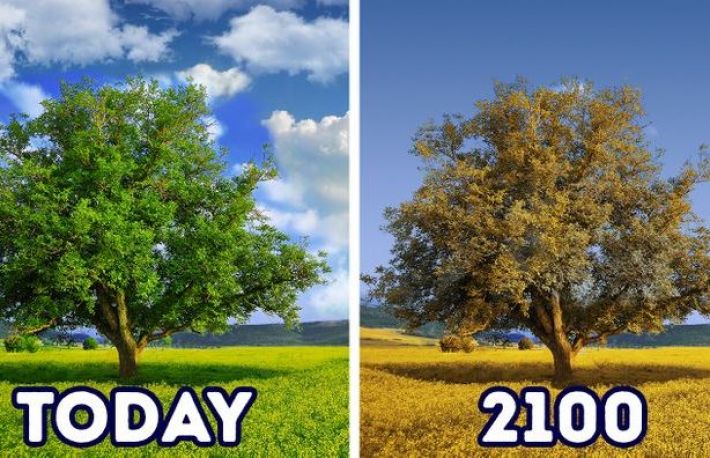 Schimbari majore care vor face lumea de nerecunoscut pana in 2100