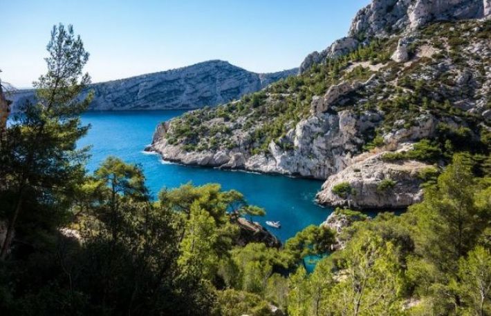 Intrebari de gimnaziu care pot pune in dificultate pe oricine