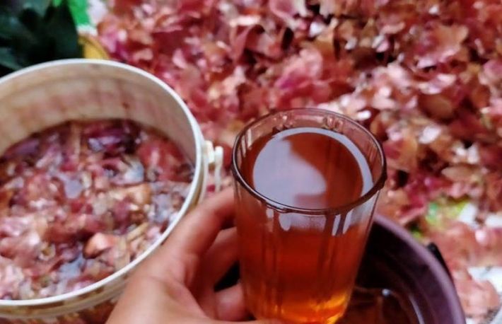 Arunci cojile de ceapa? Nu o mai face! Sunt excelente in gradina