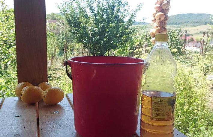 Cum sa cresti recolta de rosii si castraveti. Foloseste acest ingrasamant