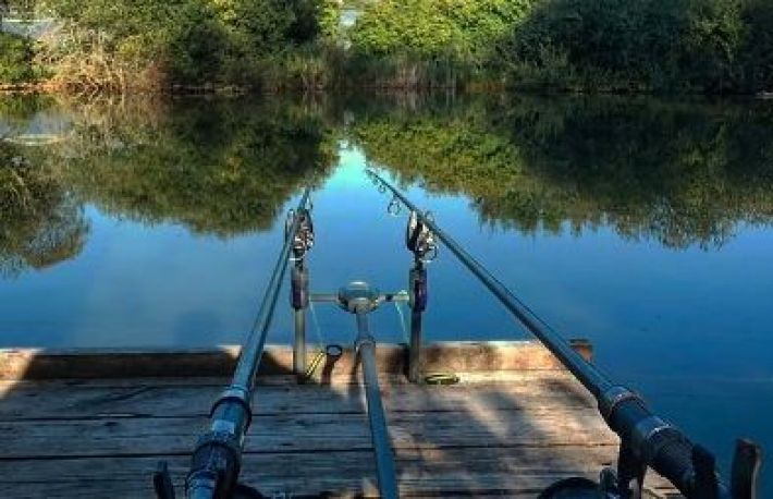 Pescuitul la crap - ghid pentru incepatori