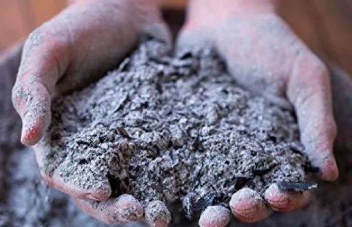 Cum sa fertilizezi ceapa. Cenusa este excelenta