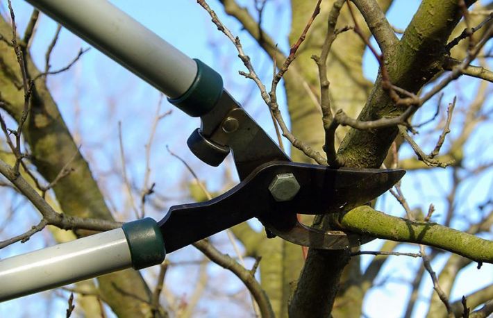 Cum sa ingrijesti GRADINA. Activitati specifice lunii octombrie