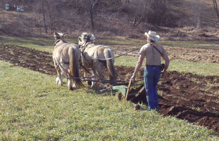 Cum sa ari. Foloseste metoda potrivita