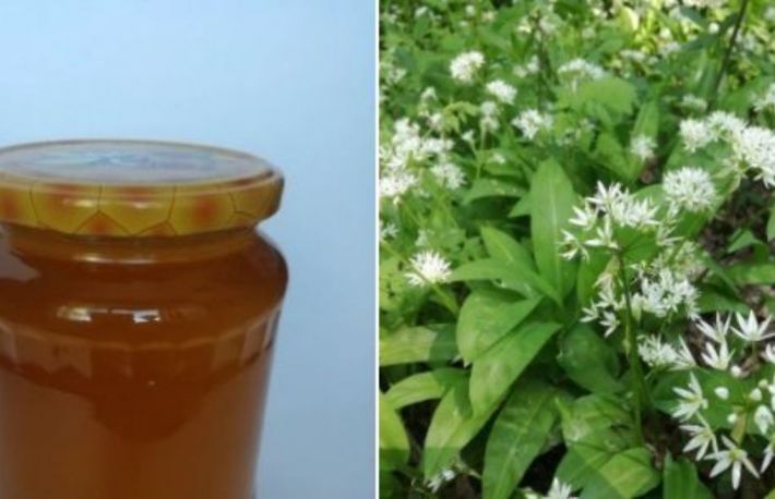 Cum sa faci miere cu leurda