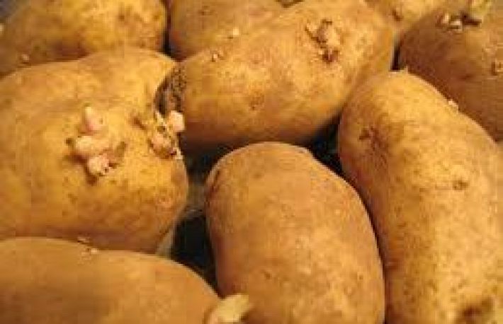 Cum sa evitati incoltirea cartofilor in camara