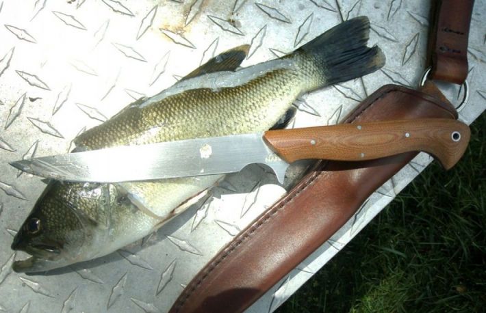 Cum se fileteaza un peste?