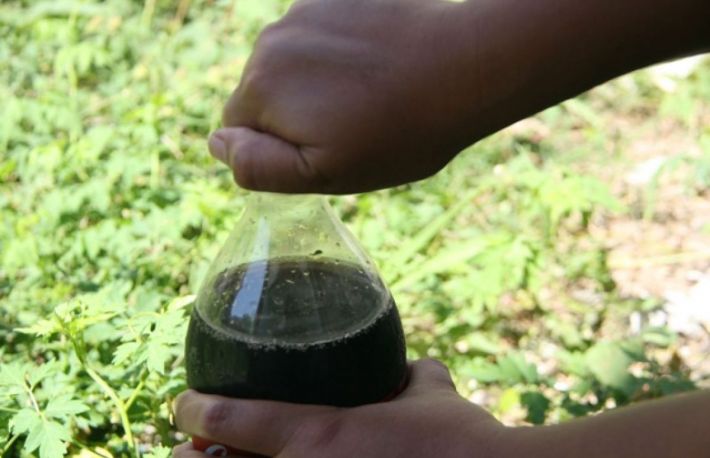 Cum puteti imparti o bautura cu cineva, fara sa luati microbi?