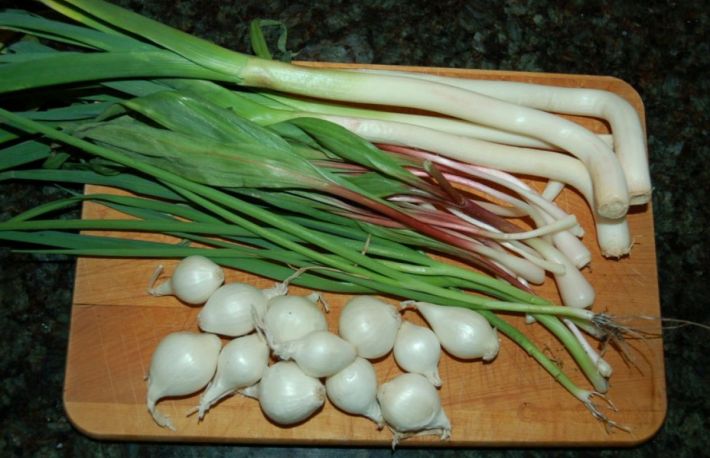 Usturoi verde in otet