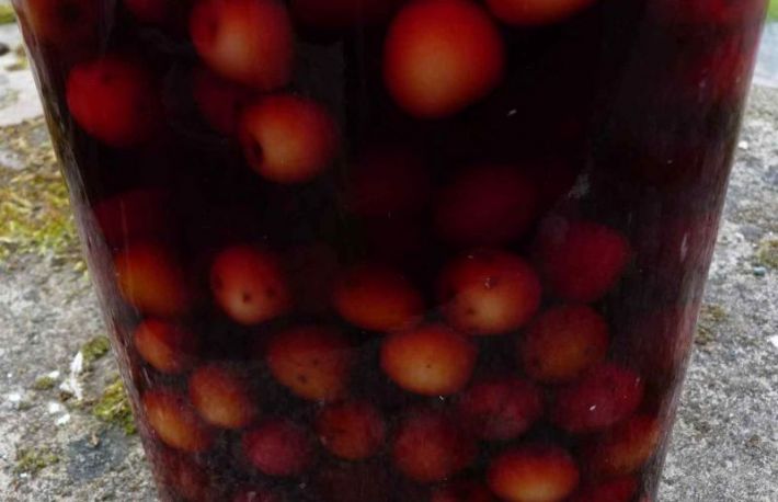 Reteta Visinata! Cum faci cea mai buna visinata!